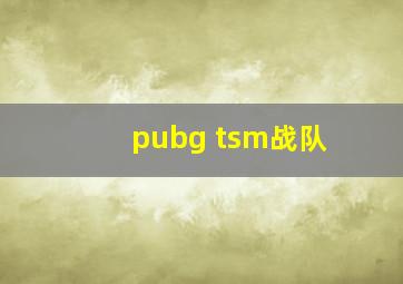 pubg tsm战队